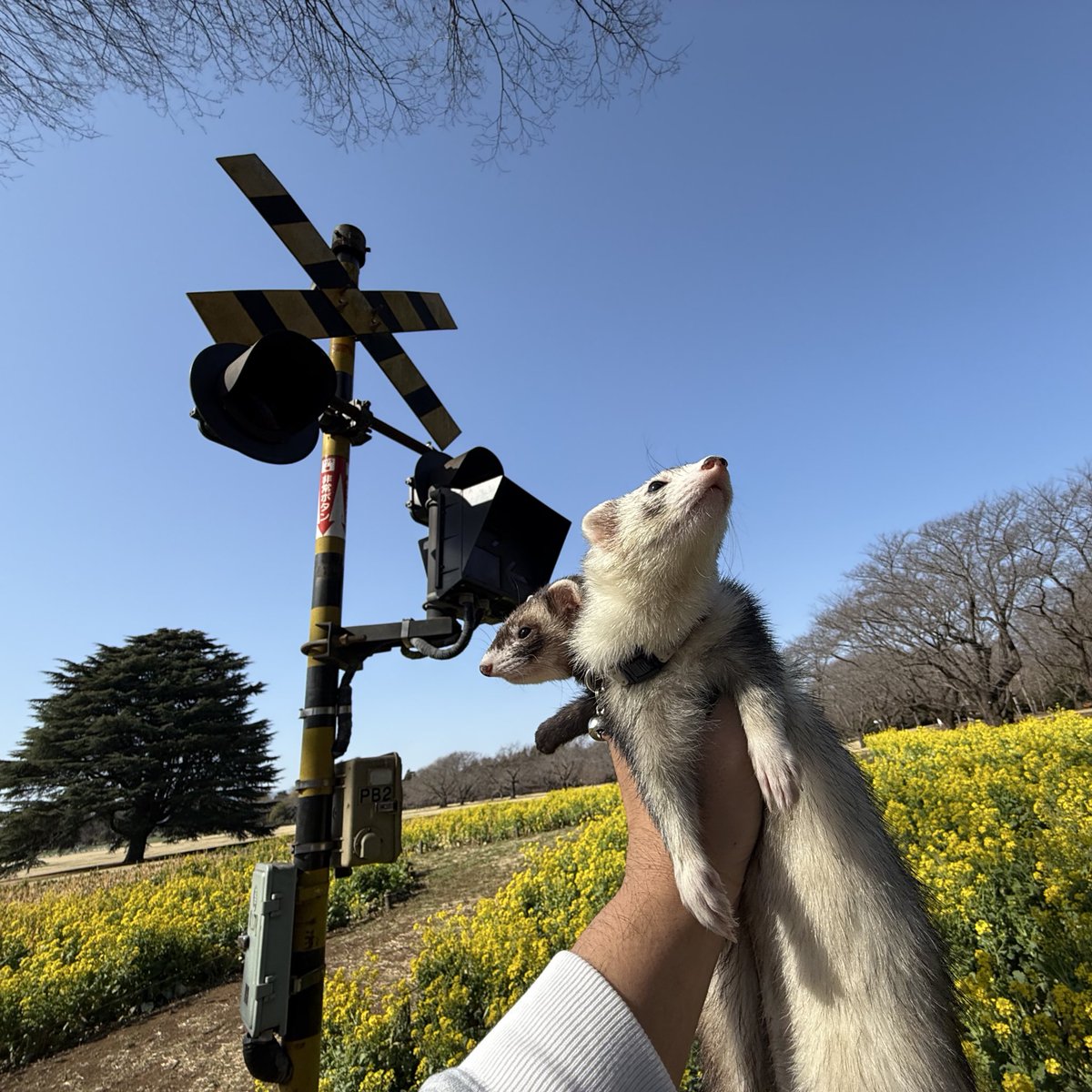 あっきー様ʢ☘︎-·̮•̯ʡʢ•̯·̫-☀︎ʡ (@ackey_73) / Posts / X