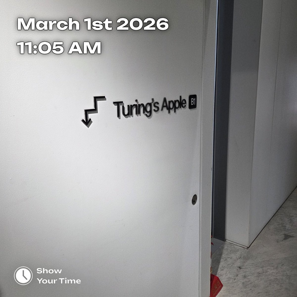 홍시너겟 tweet media