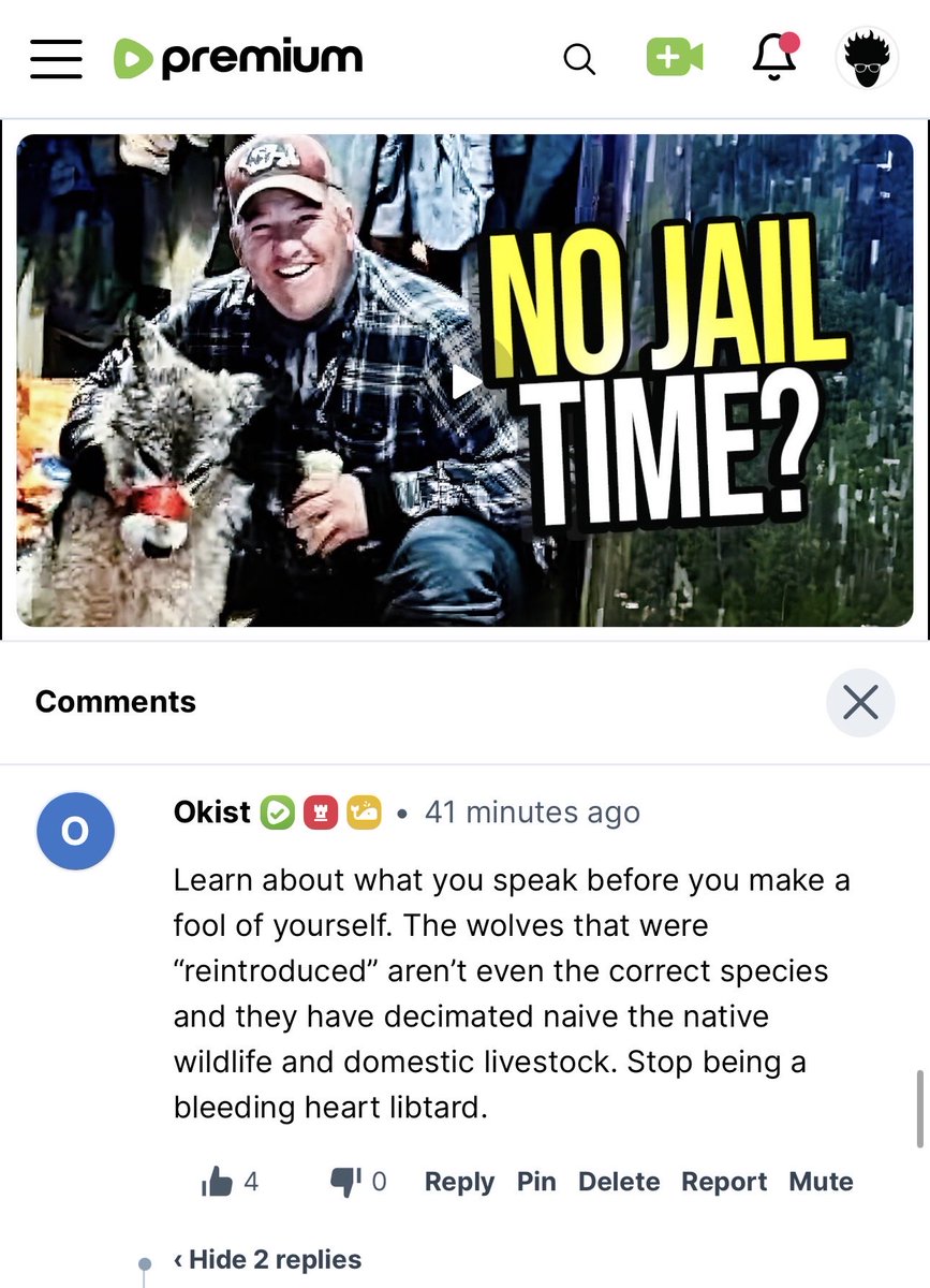 Viva Frei tweet media