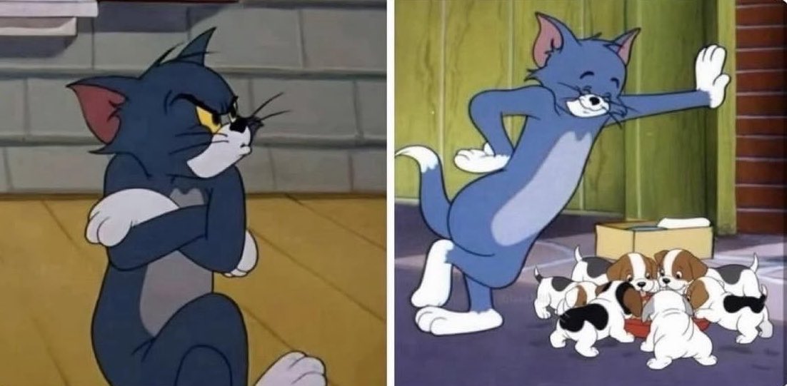 Yo con la gente // Yo con los animales