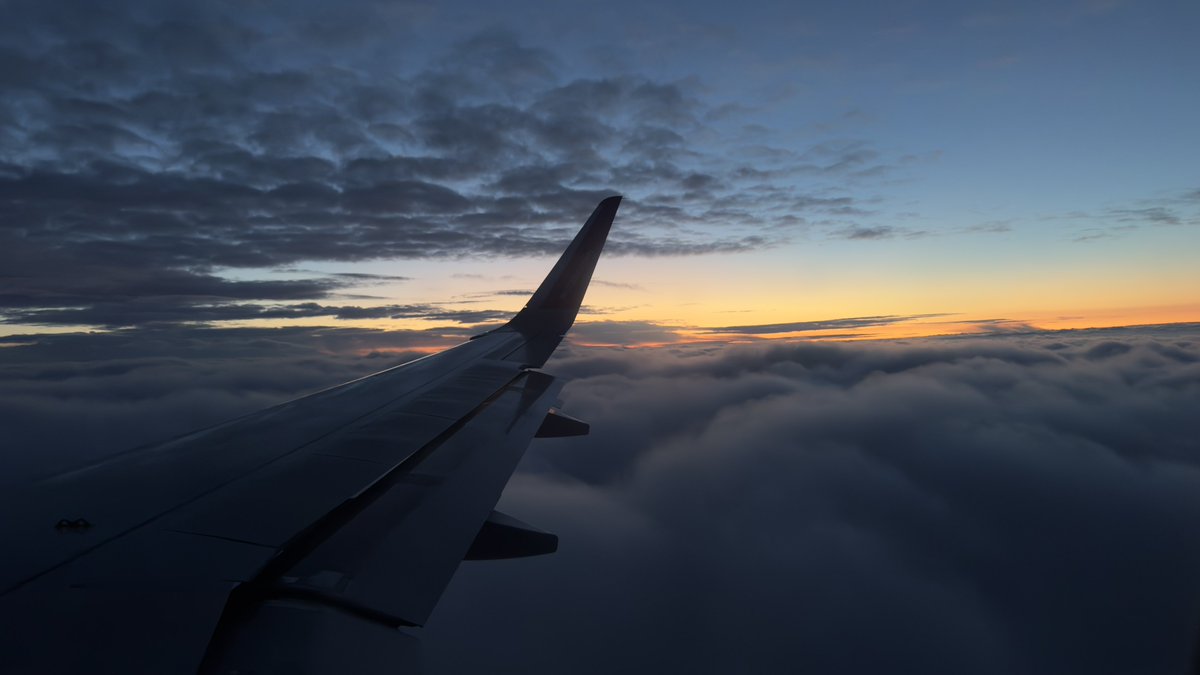 Razvan Muntian tweet media