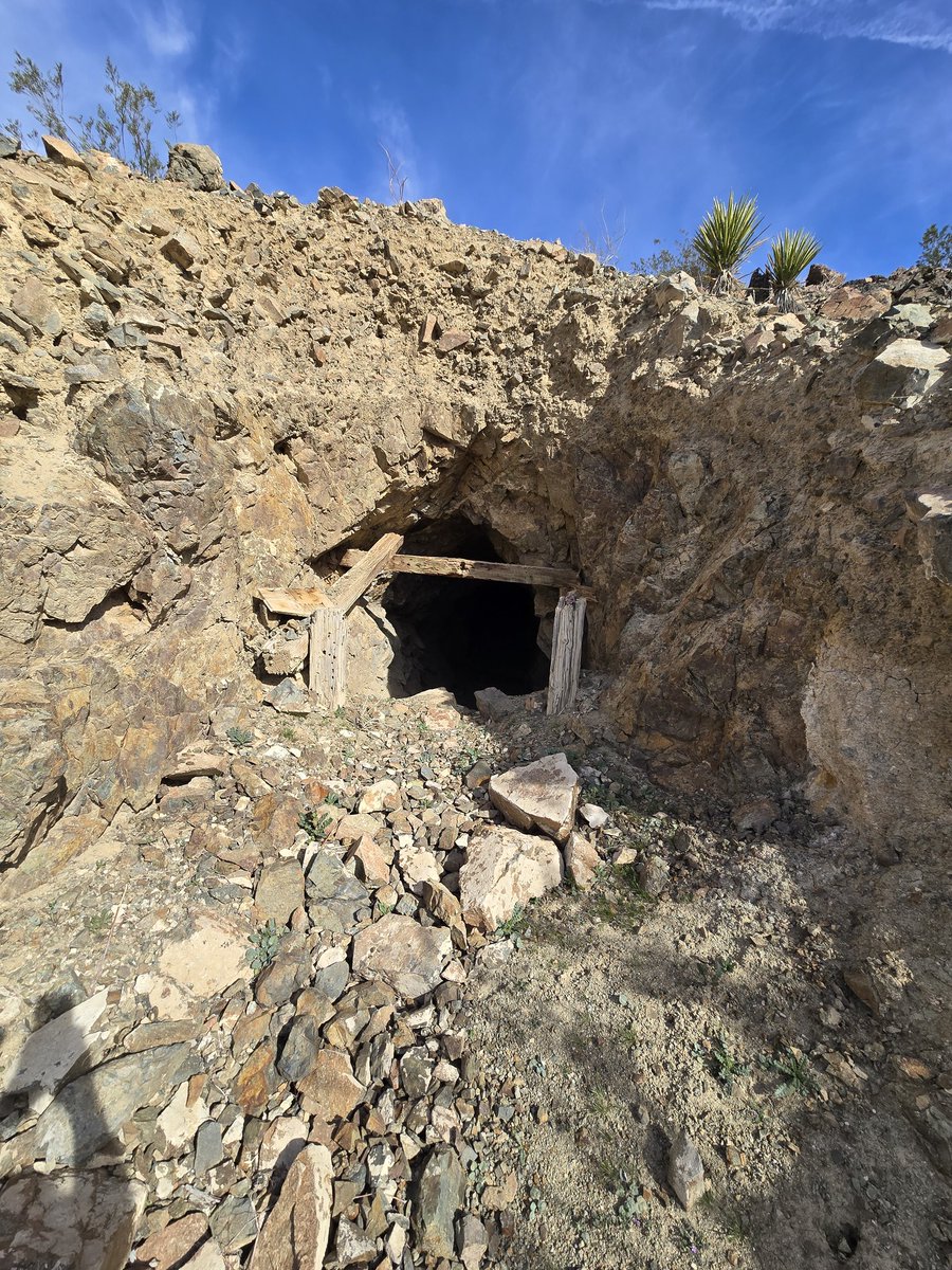 chrishert1's tweet photo. Got out to enjoy  the Mojave desert this afternoon. https://t.co/1CkwajiM95