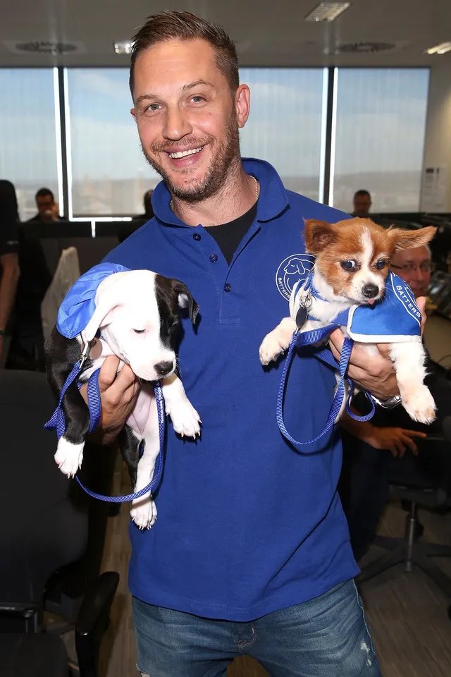 Progress Osama (@osamaprogress) on Twitter photo 