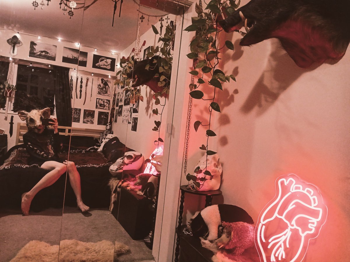 🌹🔞🥀 tweet media