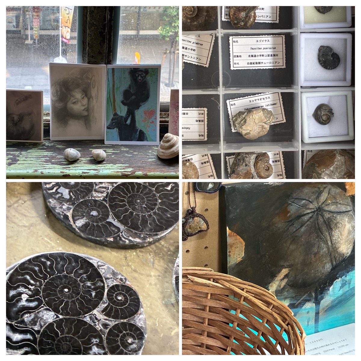 マダマダマダガスカル (@xkpSNxcigsIRTGZ) / Posts / X