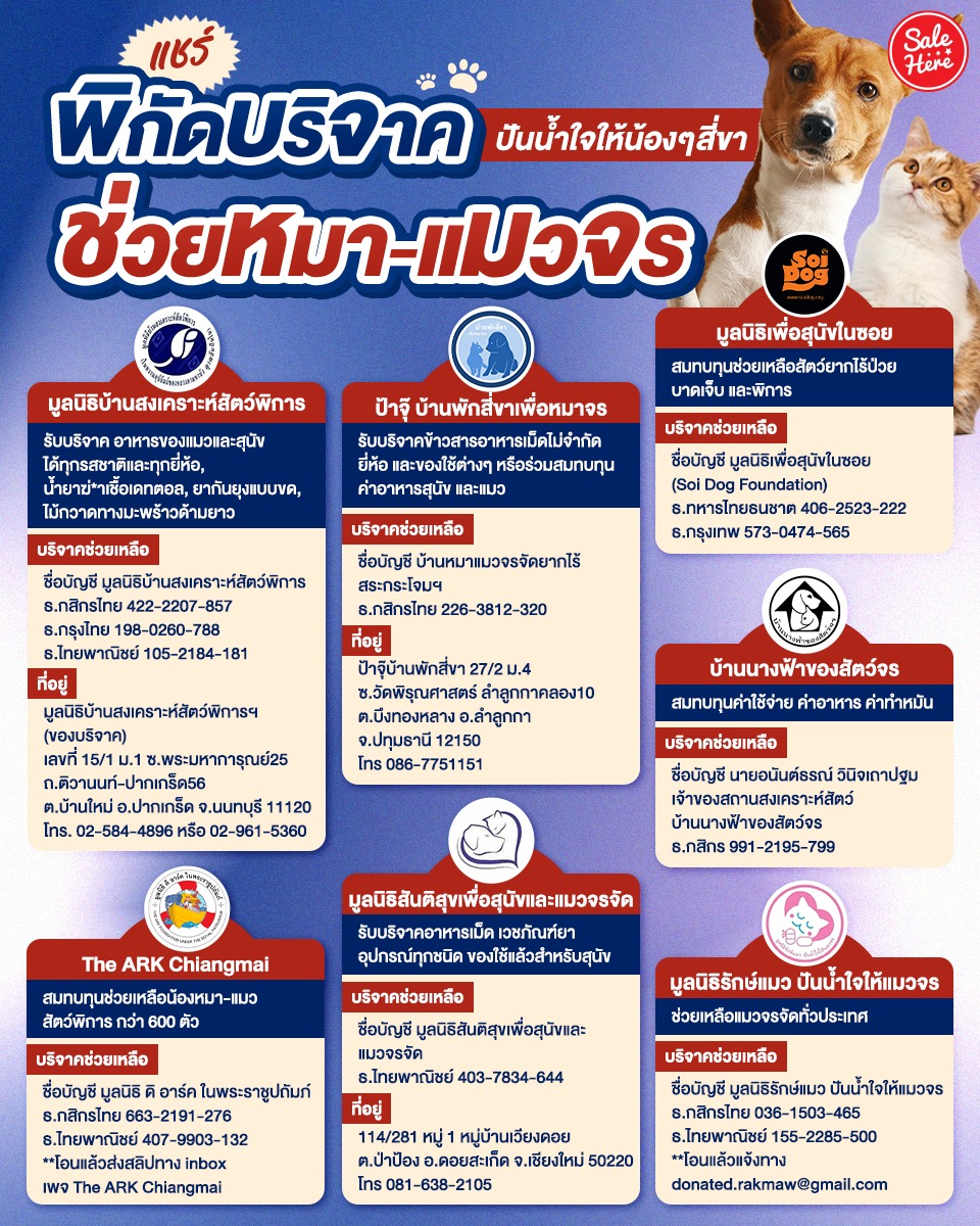 📣 ชวนปันน้ำใจให้น้องๆ สี่ขา! 😍🐈 แอดแชร์ 7 พิกัด #บริจาคช่วยหมาแมวจร 🦮 ตามกำลังศรัทธา

📌ดูเพิ่มเติม > facebook.com/salehere/posts…

#SaleHere #เซลเฮียร์