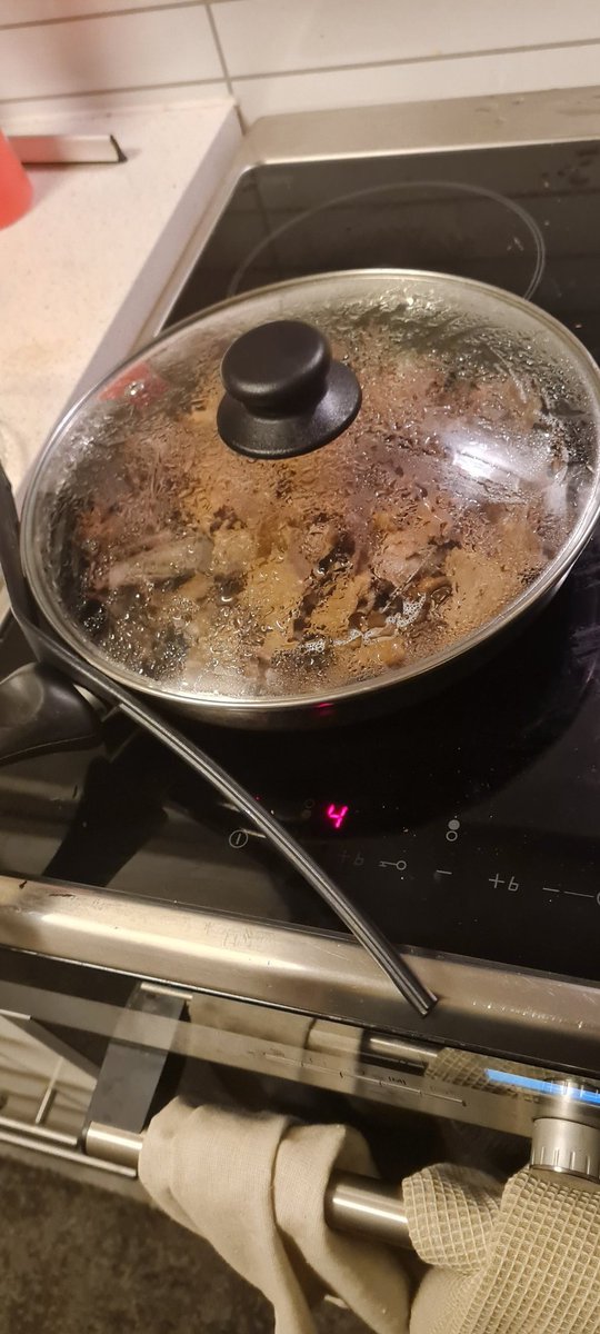 Sabahleyin mideleri yansın diye misafirlere sahurda döner yaptığım doğrudur 😂😂😂 yaşasın kötülük😈😈😈😎