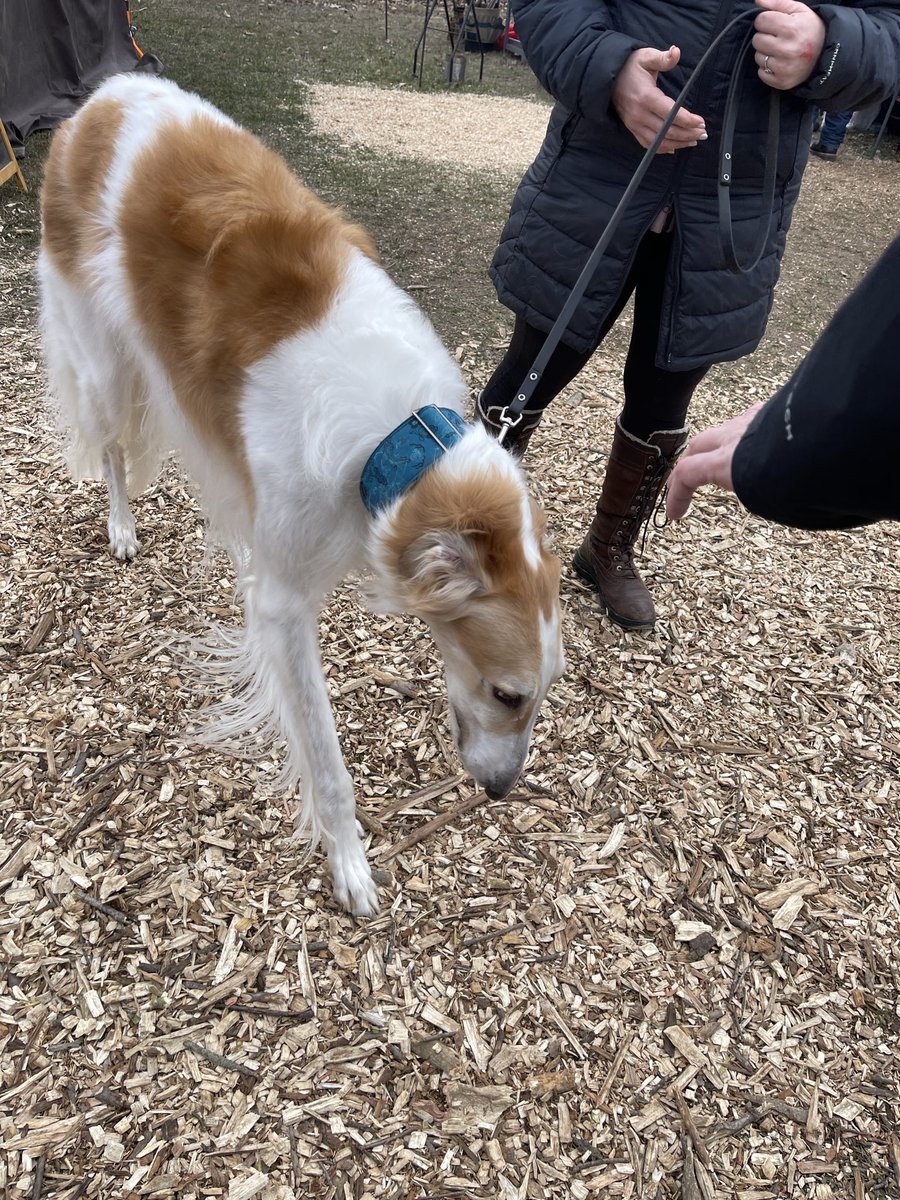 Kat_HDela's tweet image. A #quest afoot 
strange creatures 
fires burning 
as winter clouds descend 
a Viking fest in the Midwest 

#vss365 My 📷