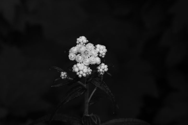 rain18085907's tweet photo. Art of the Day! "Small Things". Buy at: https://t.co/3vATYAnmyI https://t.co/8fOmIpcwc3