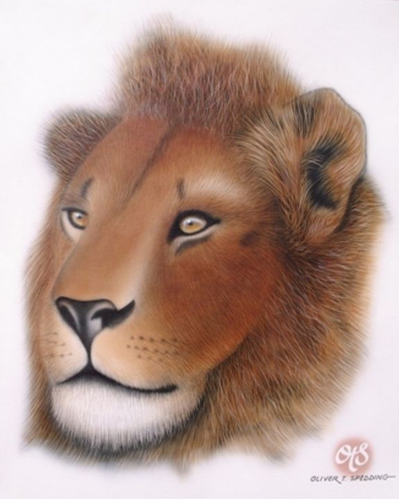 OliverSpedding's tweet photo. Art of the Day! "Lion". Buy at: https://t.co/HBjYPGNnWi https://t.co/t6vXn5vfKB