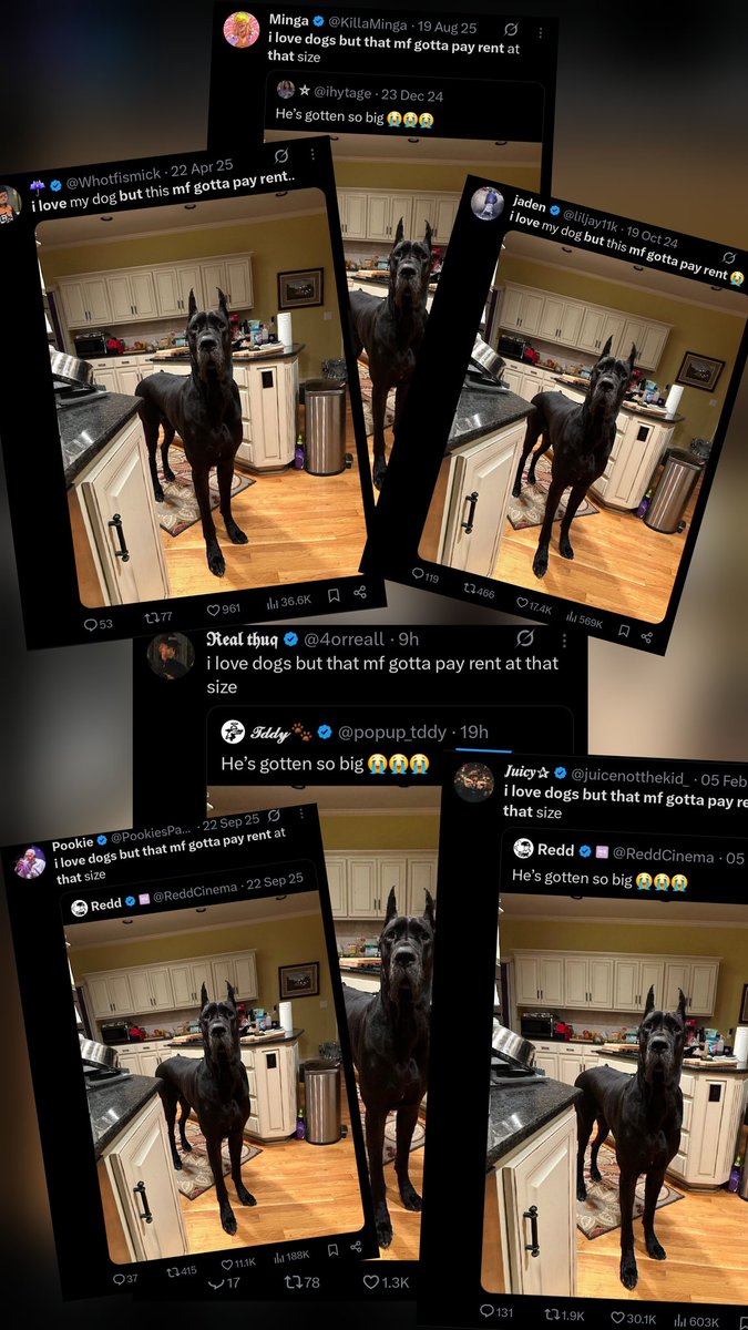 HitmanGamingXD tweet media