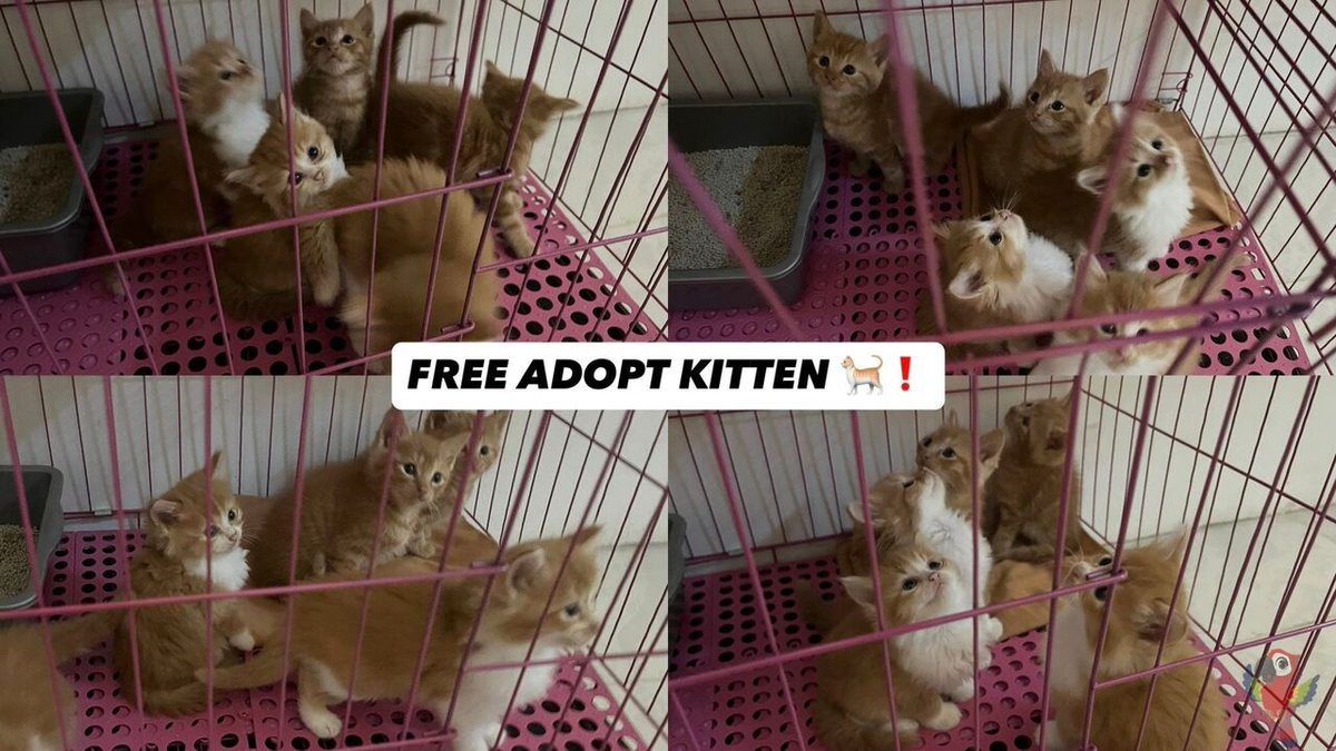 UNNES MENFESS🍌 tweet media