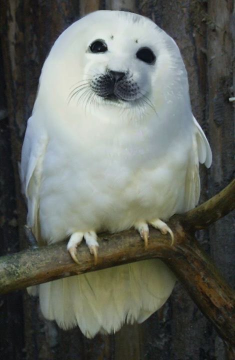 INACTIVE 💌 tweet media