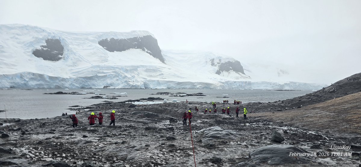 LissaKay - Can't stop the signal, Mal tweet media