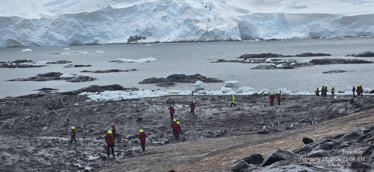 LissaKay - Can't stop the signal, Mal tweet media