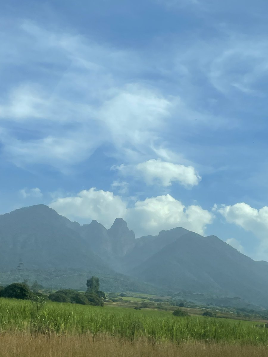 XYoshune's tweet photo. como no me va a perseguir el recuerdo de aquella casita cerca de los aguacates si era el infierno que me gustaba vivir https://t.co/S5L6Rw8pT3
