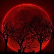 زيد علي ابوطالب tweet media