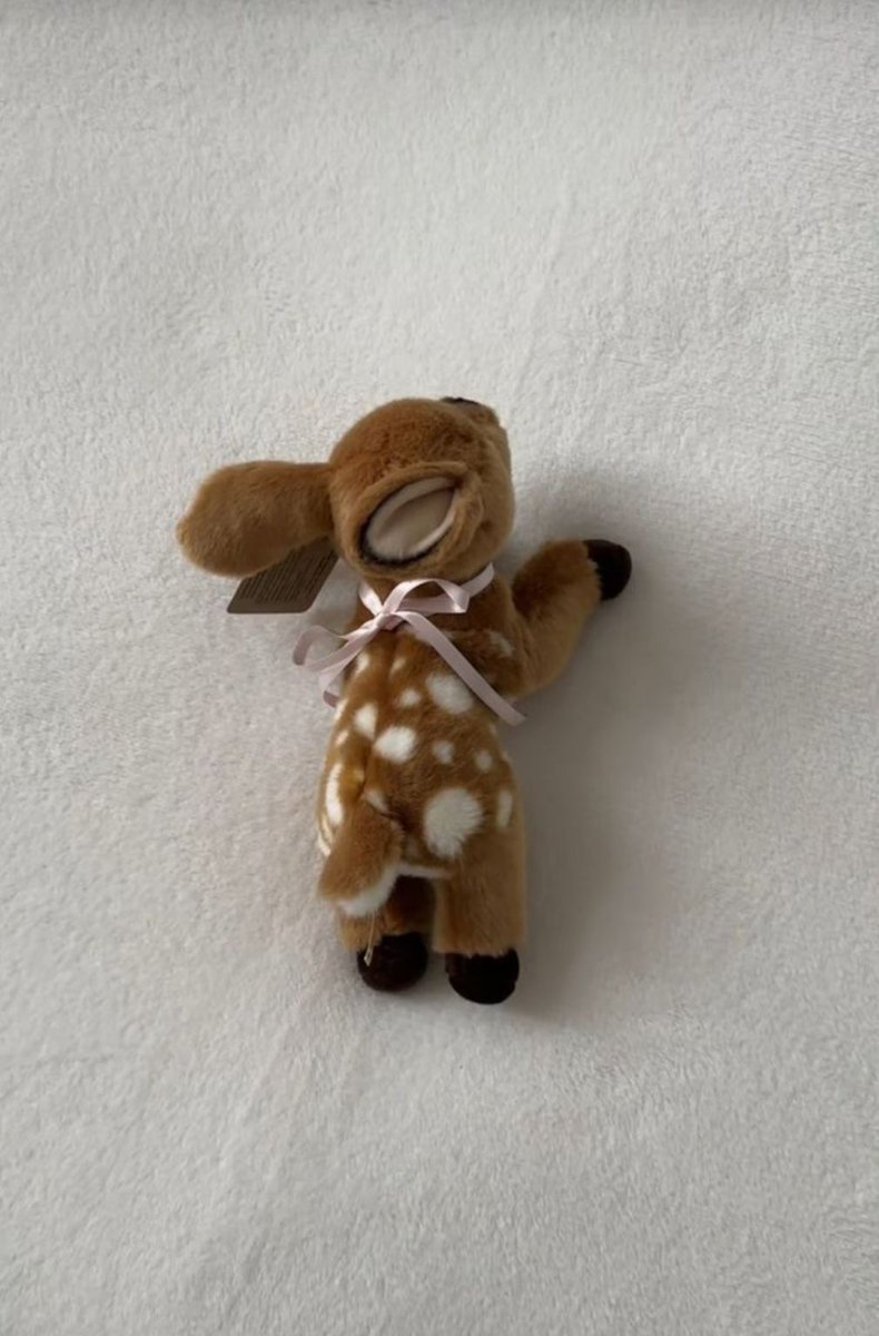 only cute things (@cutedreamvibes) on Twitter photo 