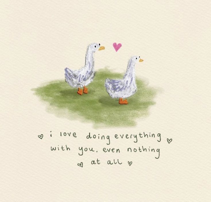 only cute things tweet media
