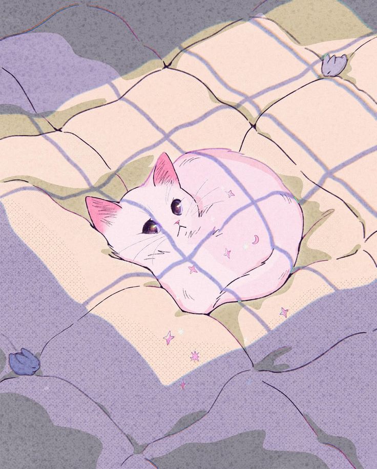 only cute things tweet media