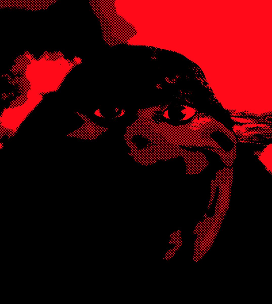 ƊĘŁĪX̌_ÐṚÄŴ§ tweet media