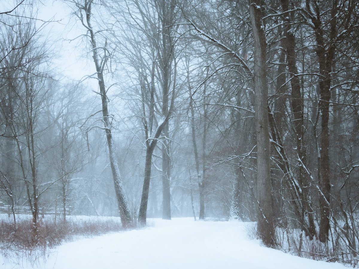 Jacopo Photoghraphy tweet media