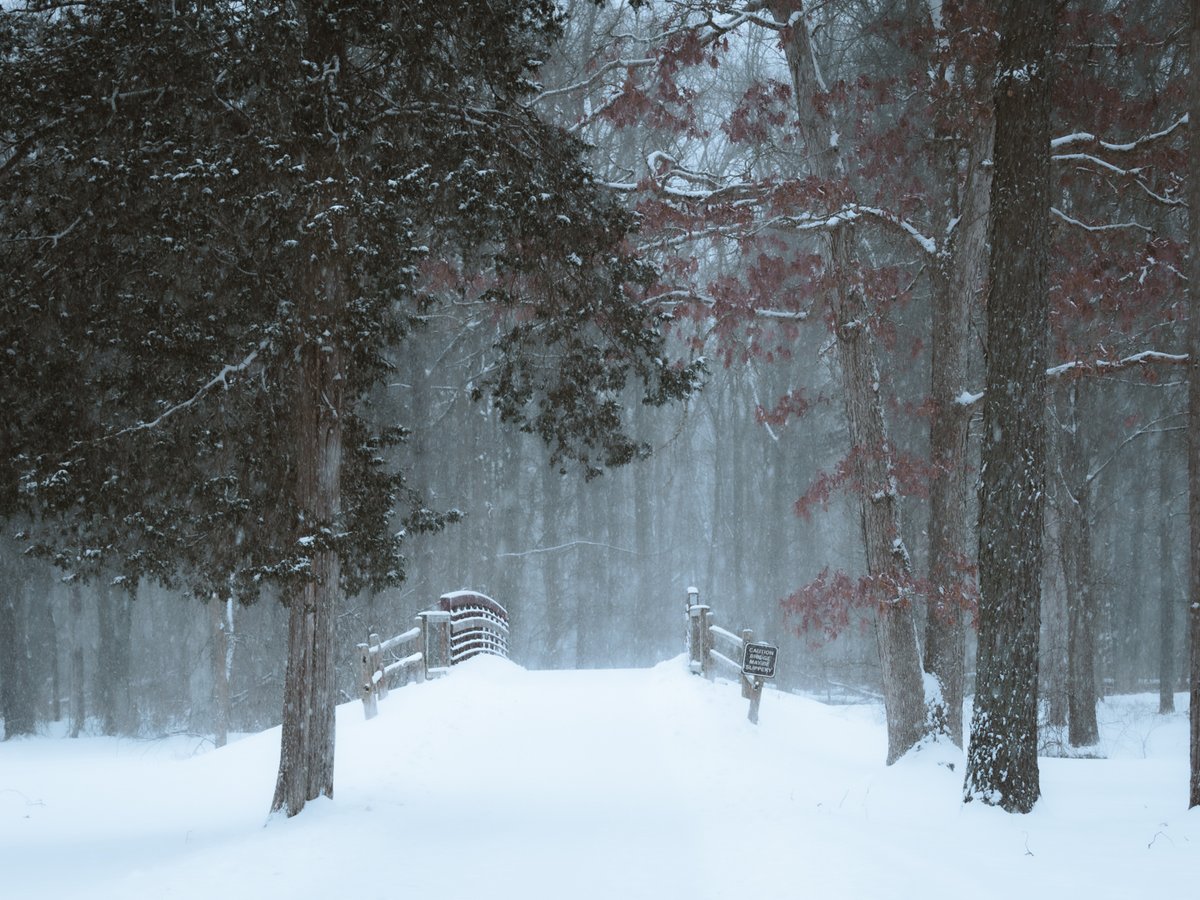 Jacopo Photoghraphy tweet media