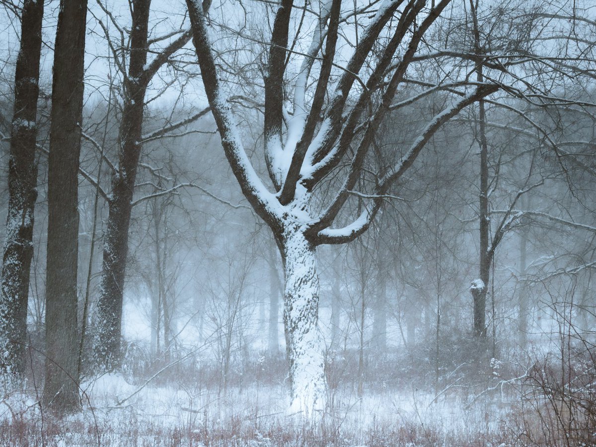 Jacopo Photoghraphy tweet media