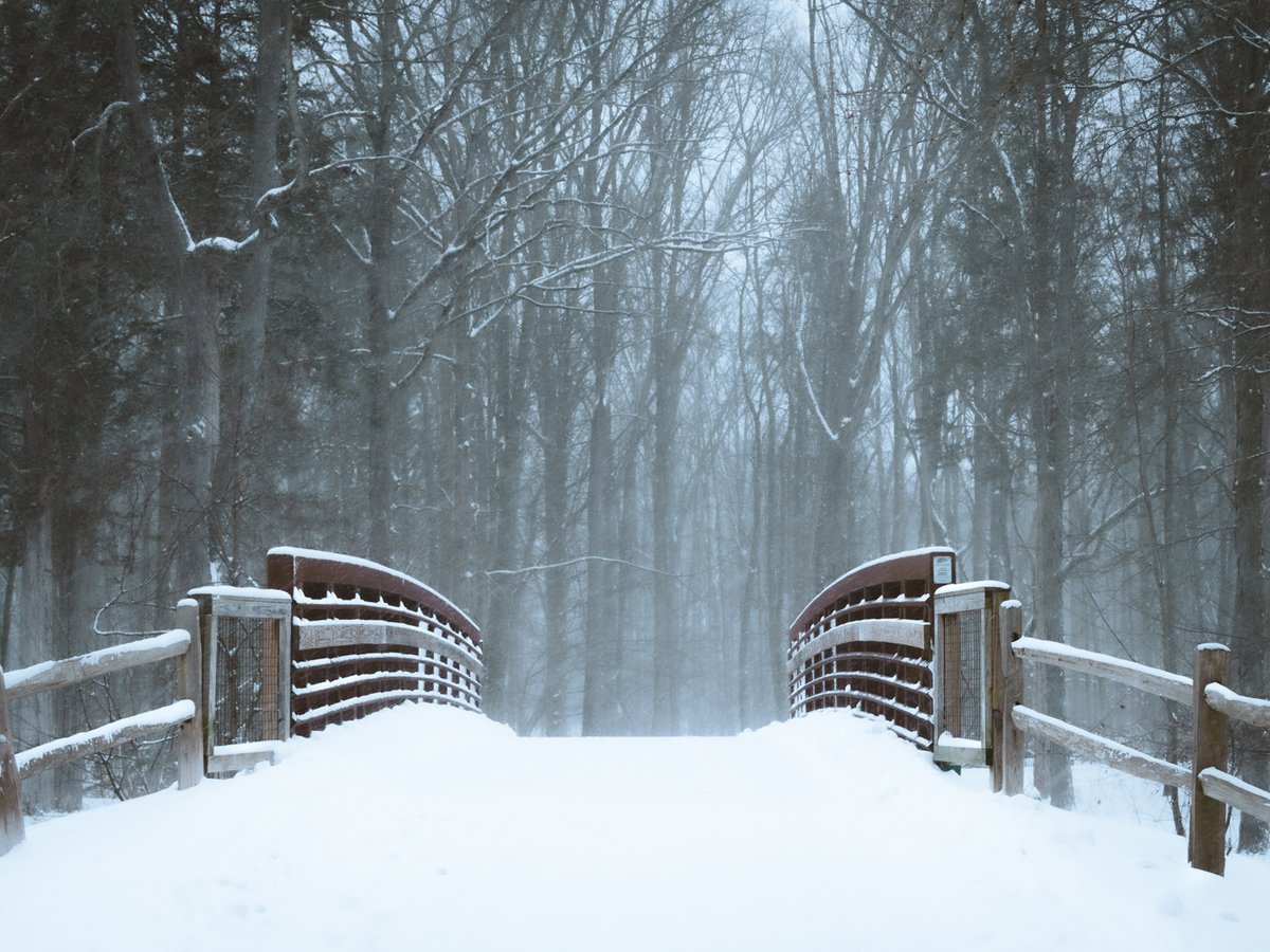 Jacopo Photoghraphy tweet media