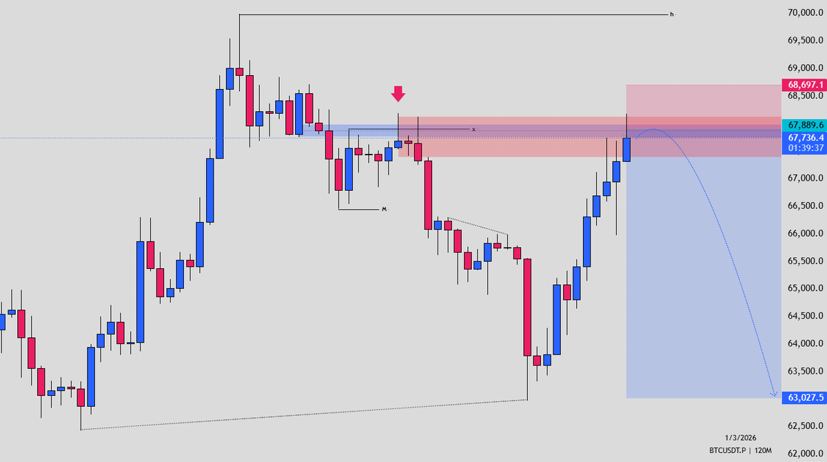 TNDK 🪴 tweet media