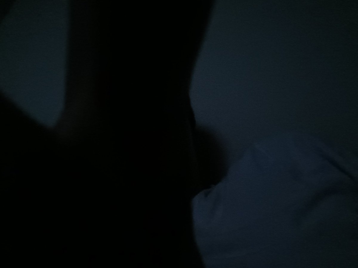 levi989's tweet photo. Dony look at me, for I'm not ready to show my face before the audience. https://t.co/6iHP7pgF9A