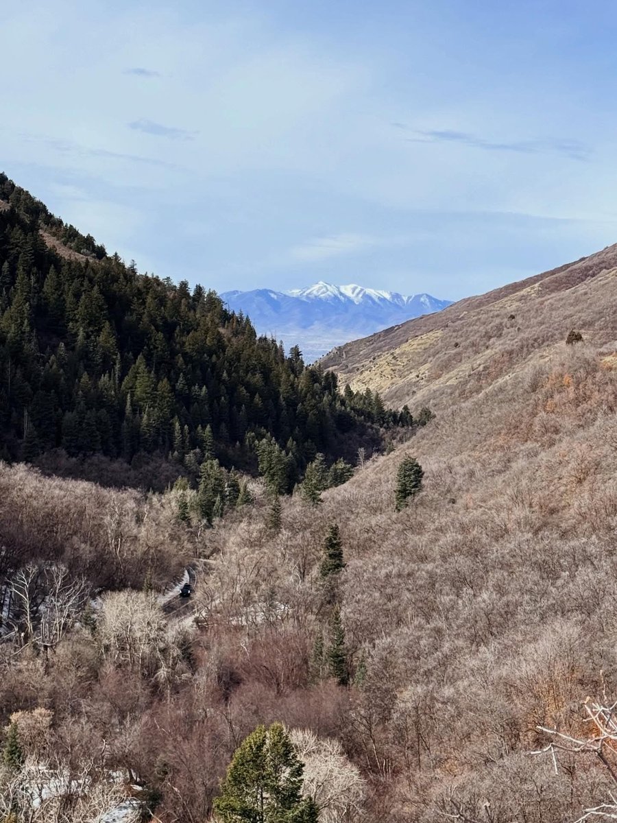 Beautiful day for a hike.
