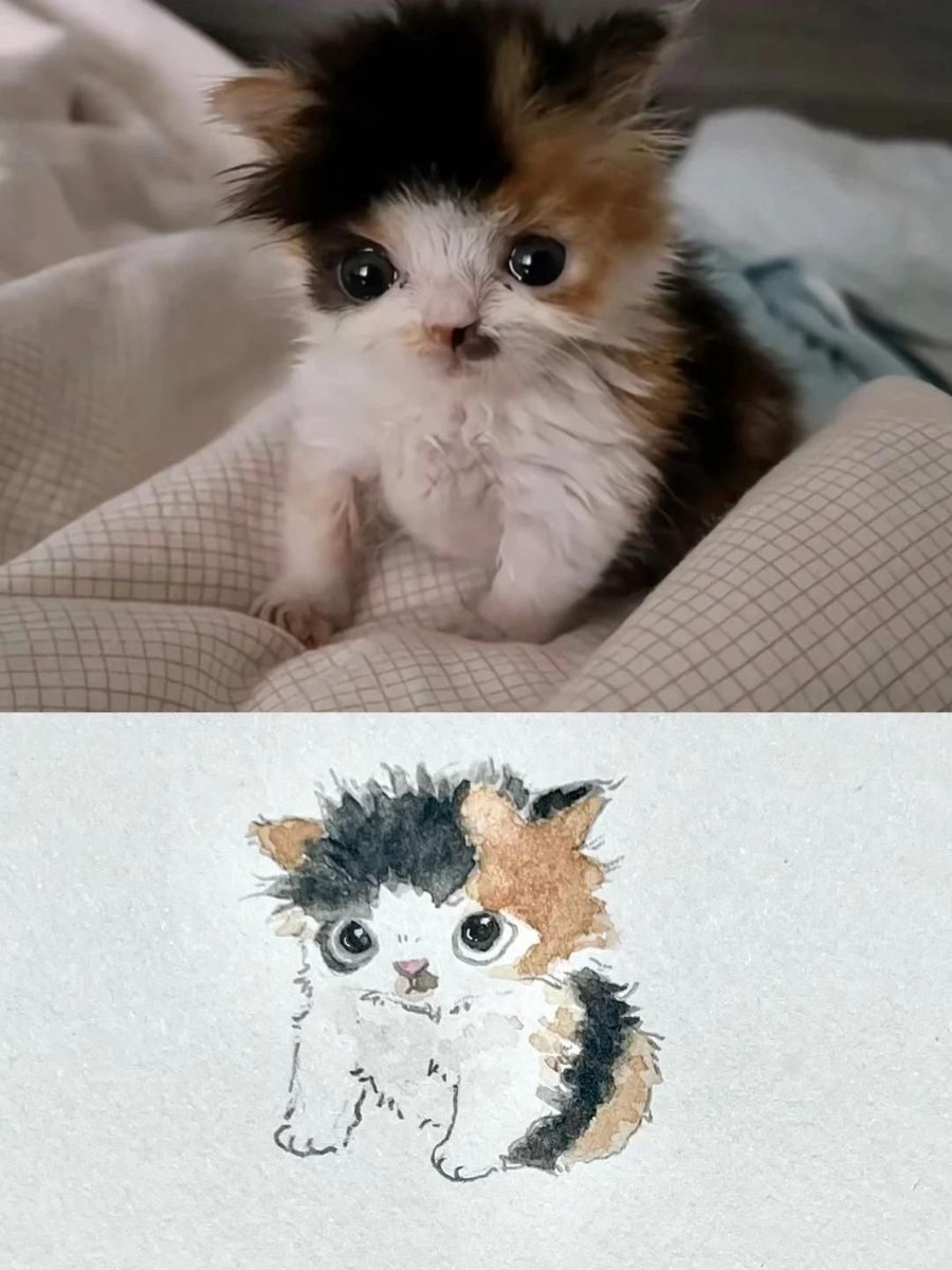 only cute things tweet media