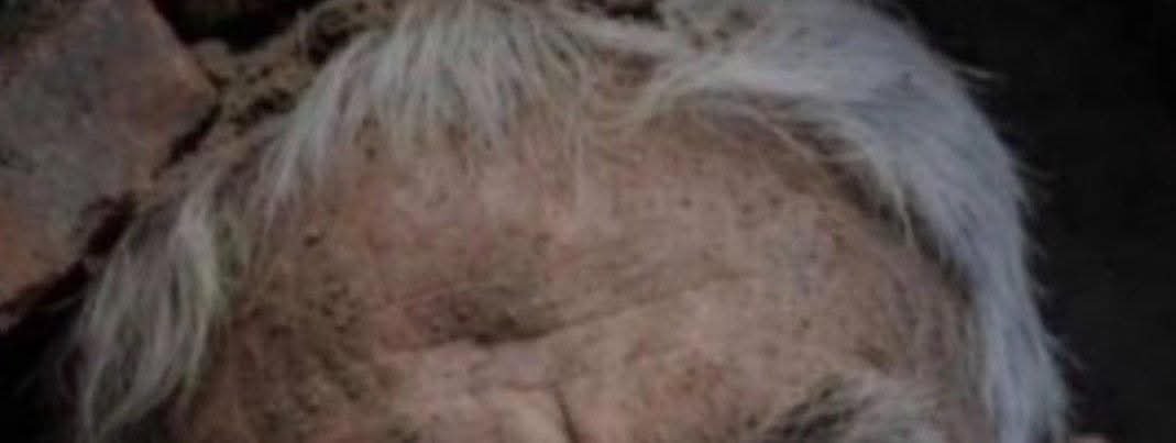 كالحُسينِ عليهِ السلامُ يومَ العاشرِ منَ المُحرَّم،
ثابتونَ على الحقِّ، لا نَرضى بالذُّلِّ،