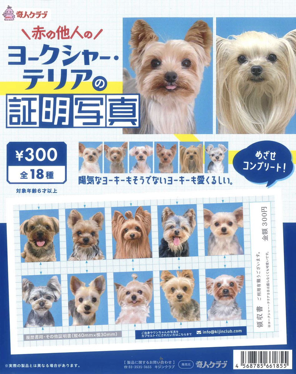 ✨本日の新商品✨ 📌 ヨークシャー・テリアの証明写真 📌 ピクサー