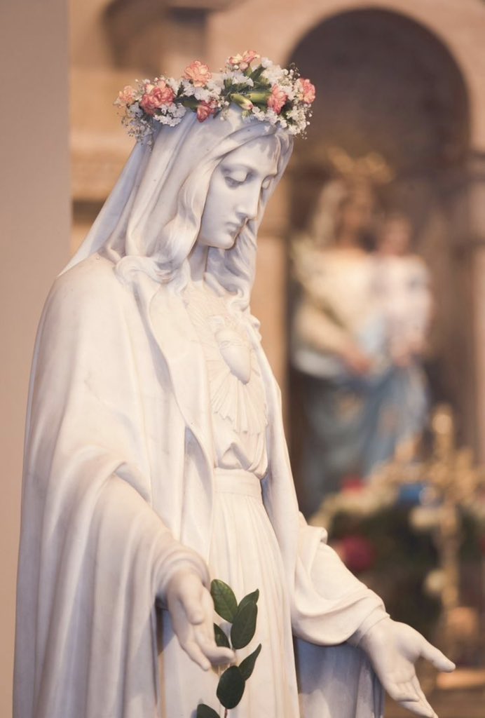 SkyVirginSon's tweet photo. Dios te salve, María, 
llena eres de gracia;
el Señor es contigo.
Bendita Tú eres 
entre todas las mujeres,
y bendito es el fruto de tu vientre, Jesús. 

Santa María, Madre de Dios,
ruega por nosotros, pecadores,
ahora y en la hora de nuestra muerte. https://t.co/1YHuE05zk5
