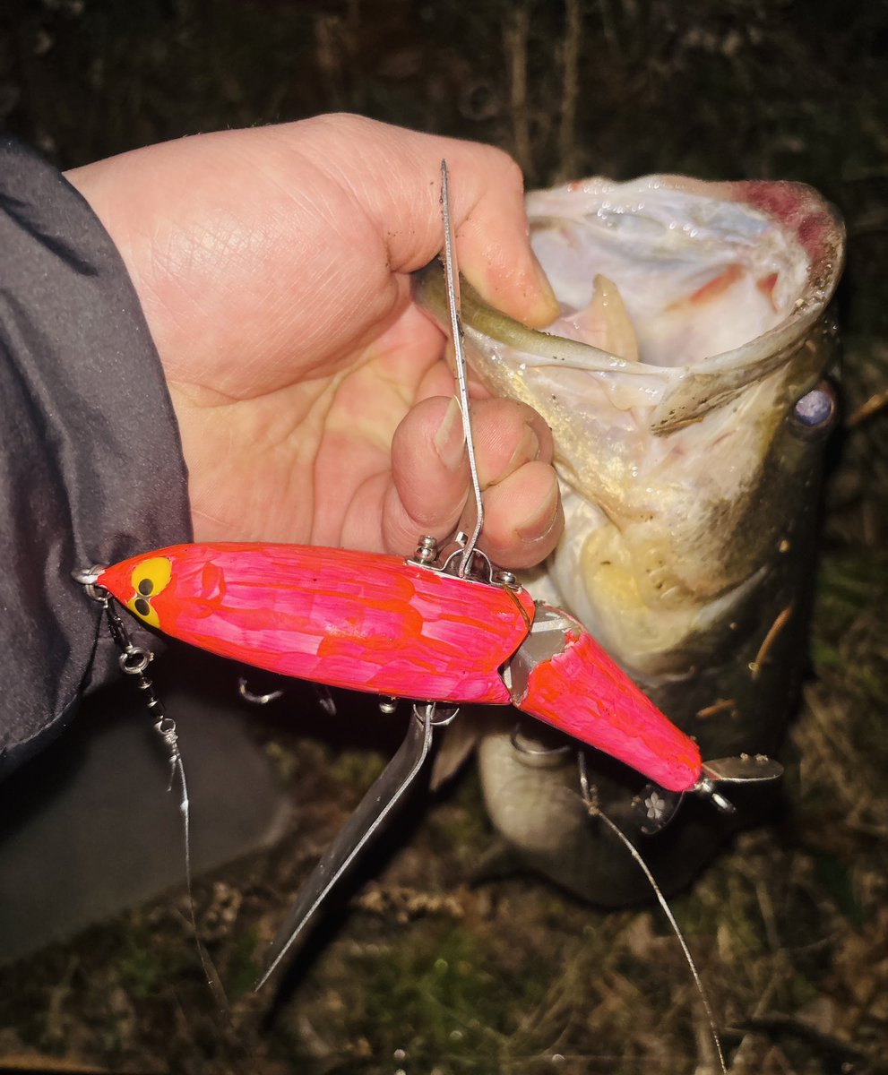 山ちゃん (@XkHQtZK8kx3fhWt) / Posts / X