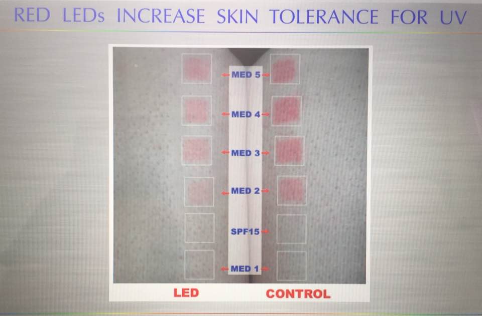 ☣️ Pleb Kruse = BTC foundationalist in exile 🟩🔆 tweet media
