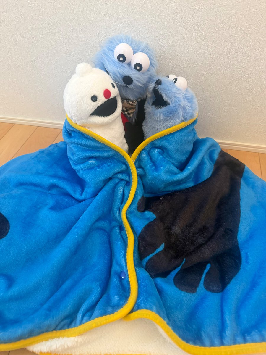 キャンペーンで当たった ブランケット 広げてみました♪ 大きくて厚手