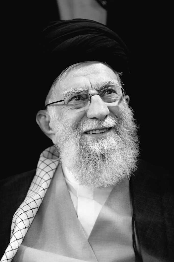 مصطفی محمودی tweet media