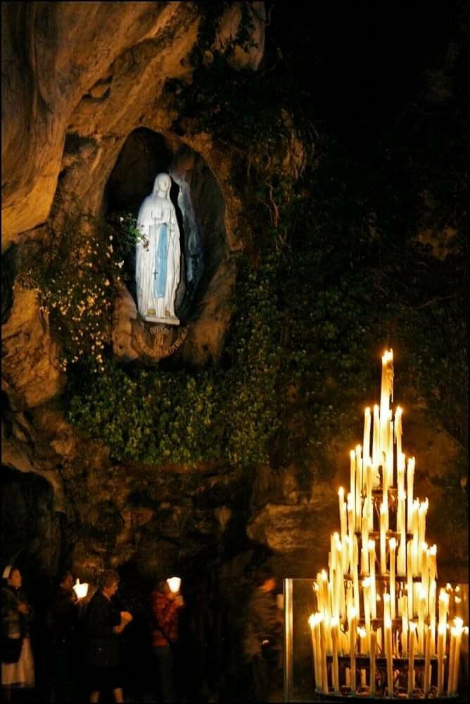 Catholic Quotes tweet media