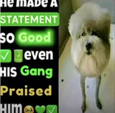 gork tweet media