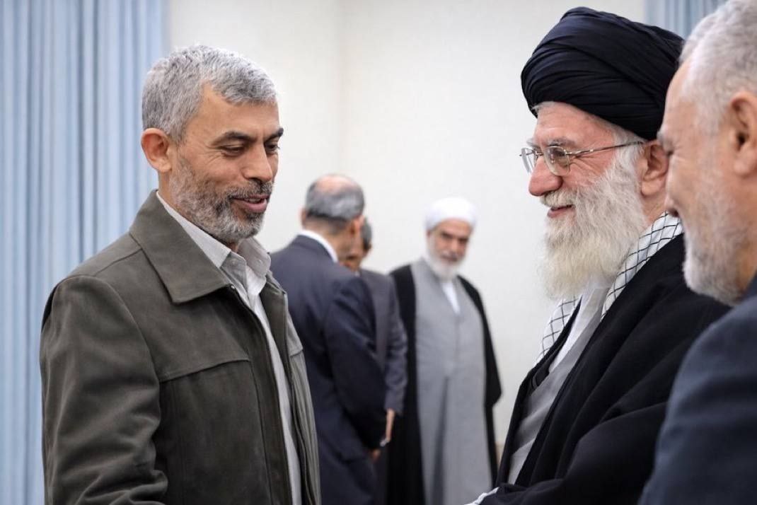 مجتهد نجران tweet media