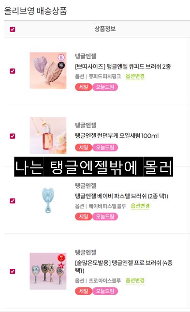 탱글엔젤 코리아 tweet media