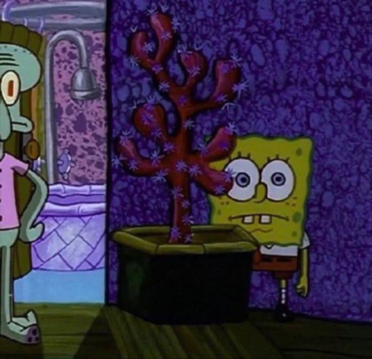 musa dos meme tweet media