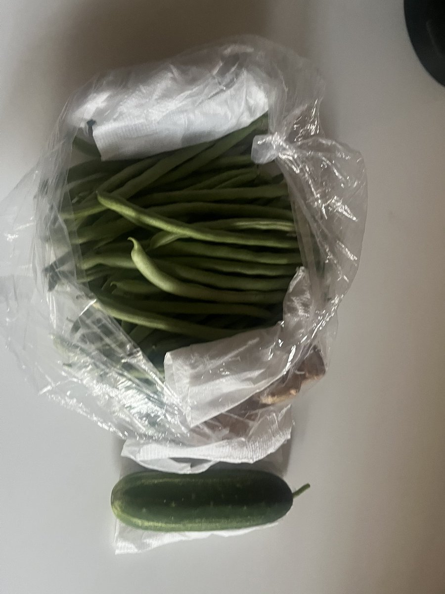 Phúc Đại | Dean Le tweet media