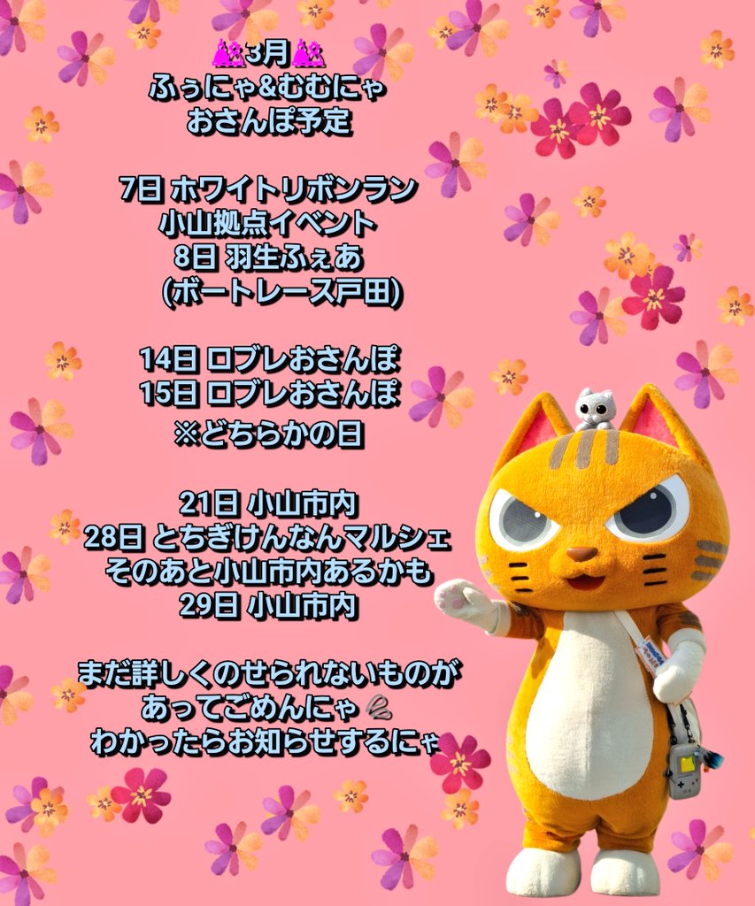 おはこんにちにゃ!! 昨日の写真は整理できたらペタするにゃ⭐ 久々のお