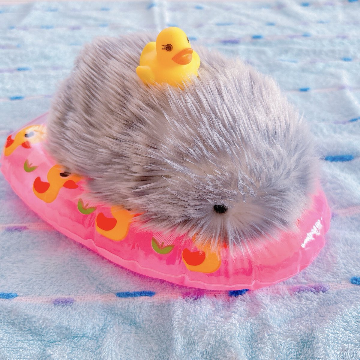 J庭のコイントレーに使うミニフロートの乗り心地をチェックしてもらっている