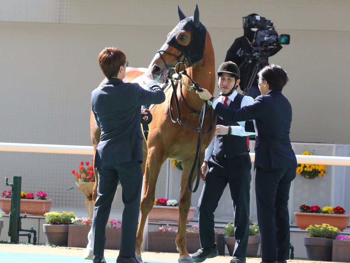 26.3.1 阪神2R ブロンザイト(3)