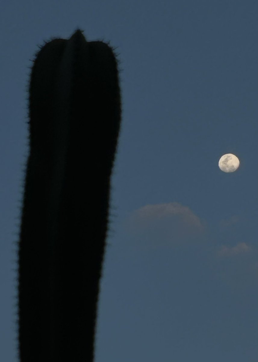 La Borja tweet media